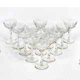 1950s Floral Etched Tall Coupes, Set of 13