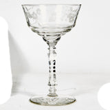 1950s Floral Etched Tall Coupes, Set of 13